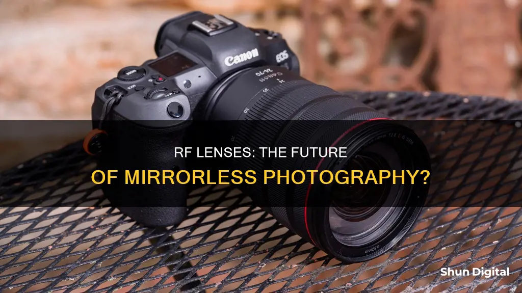 are rf lenses for mirrorless cameras