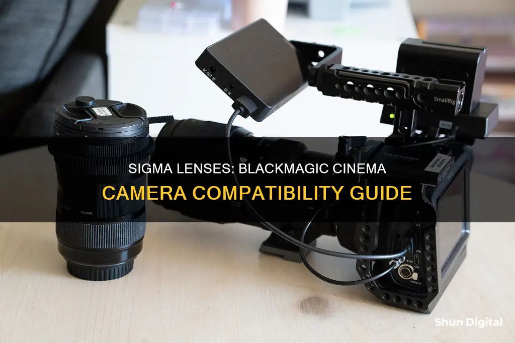 are sigma lenses compatible with blackmagic cinema camera