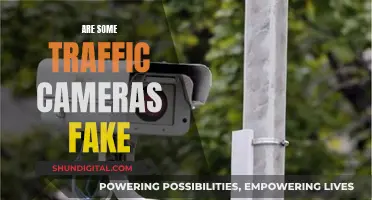 Traffic Cameras: Real or Fake?