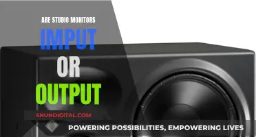 Understanding Studio Monitors: Input, Output, and Their Dual Role