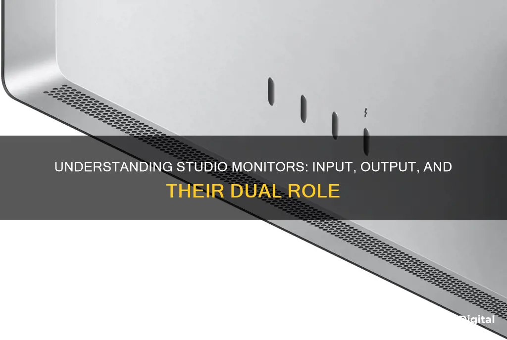 are studio monitors imput or output