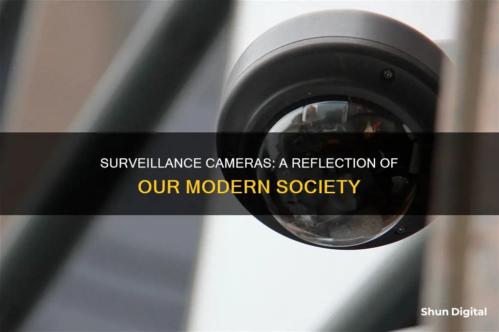 are surveillance cameras a reflection