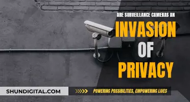 Surveillance Cameras: Privacy Intrusion or Security Essential?