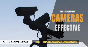 Surveillance Cameras: Effective Security or Privacy Invasion?