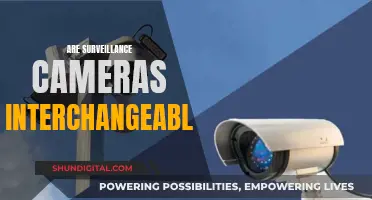 Surveillance Cameras: Are They Really Interchangeable?