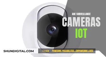 Surveillance Cameras: IoT Devices with an Eye on Us