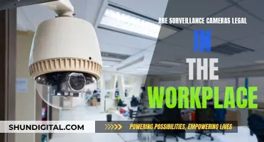 Workplace Surveillance: Are Cameras Invading Employee Privacy?