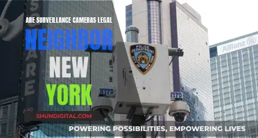 Surveillance Cameras: Legal to Spy on New York Neighbors?