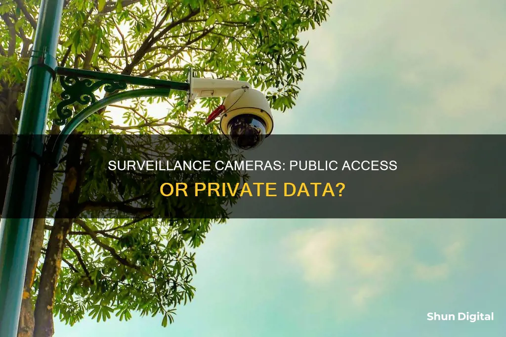 are surveillance cameras released to the public