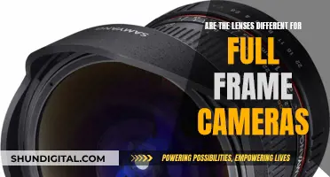 Lenses for Full-Frame Cameras: What's the Difference?