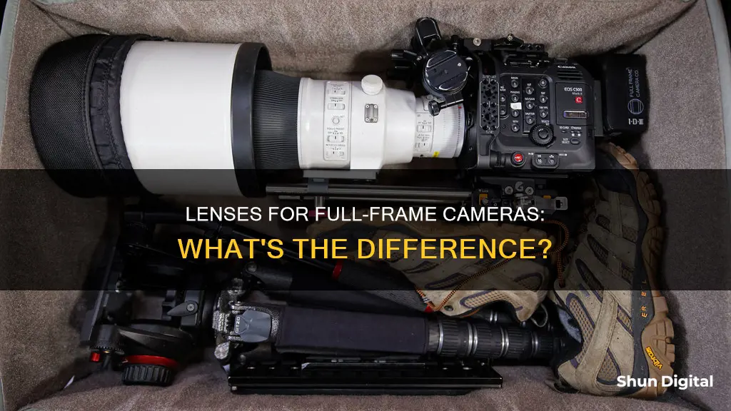 are the lenses different for full frame cameras