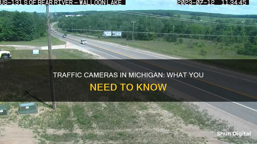 are their traffic cameras in Michigan