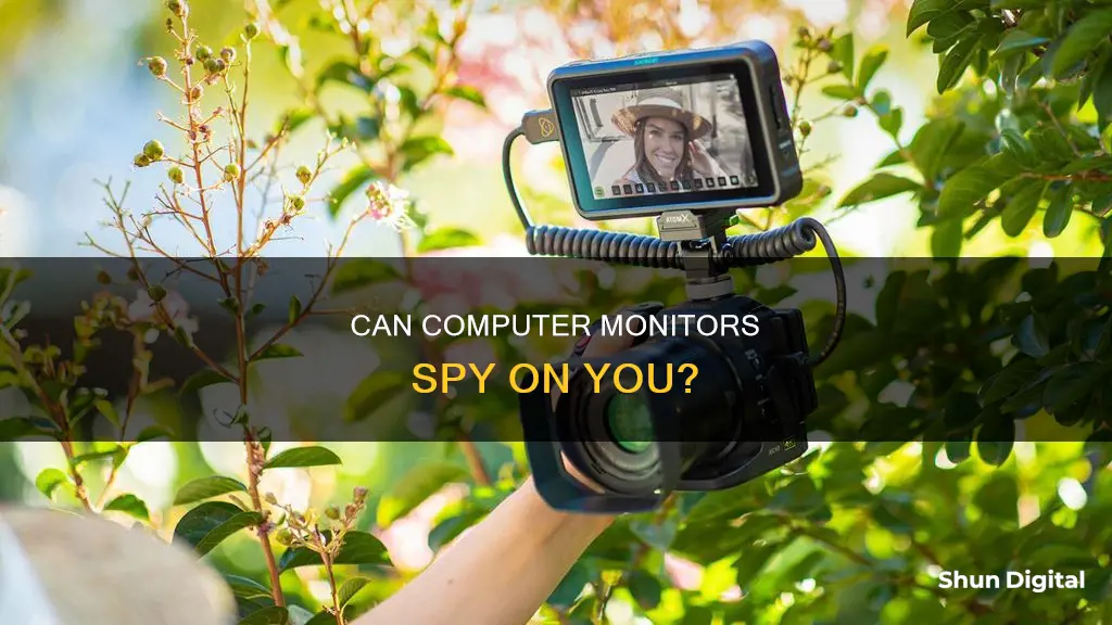 are there cameras in computer monitors