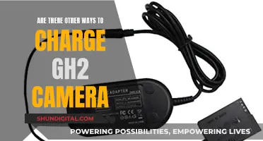 Alternative Ways to Charge Your GH2 Camera