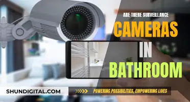 Surveillance Cameras in Bathrooms: Privacy or Security?