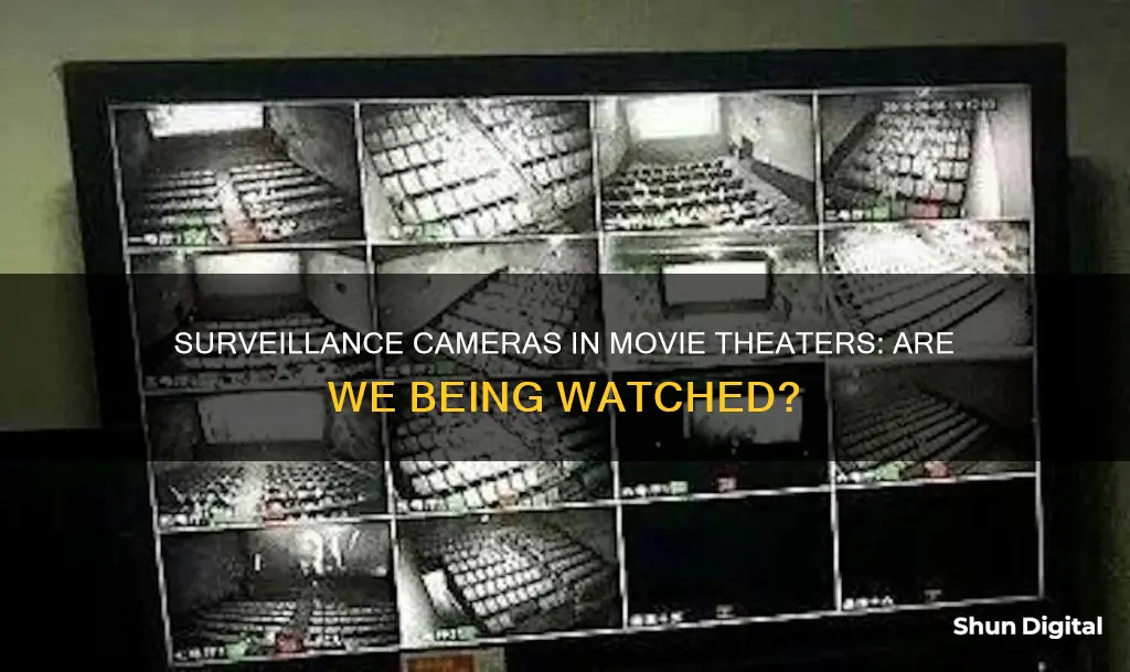 are there surveillance cameras in movie theaters