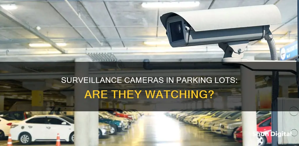 are there surveillance cameras in parking lots