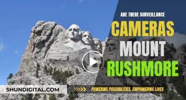 Mount Rushmore: Surveillance Cameras or Not?