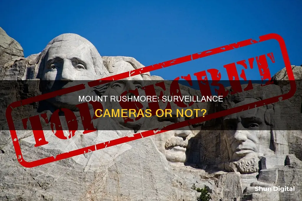 are there surveillance cameras mount rushmore