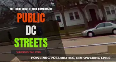 Public Surveillance in DC: Are Streets Eyes and Ears?