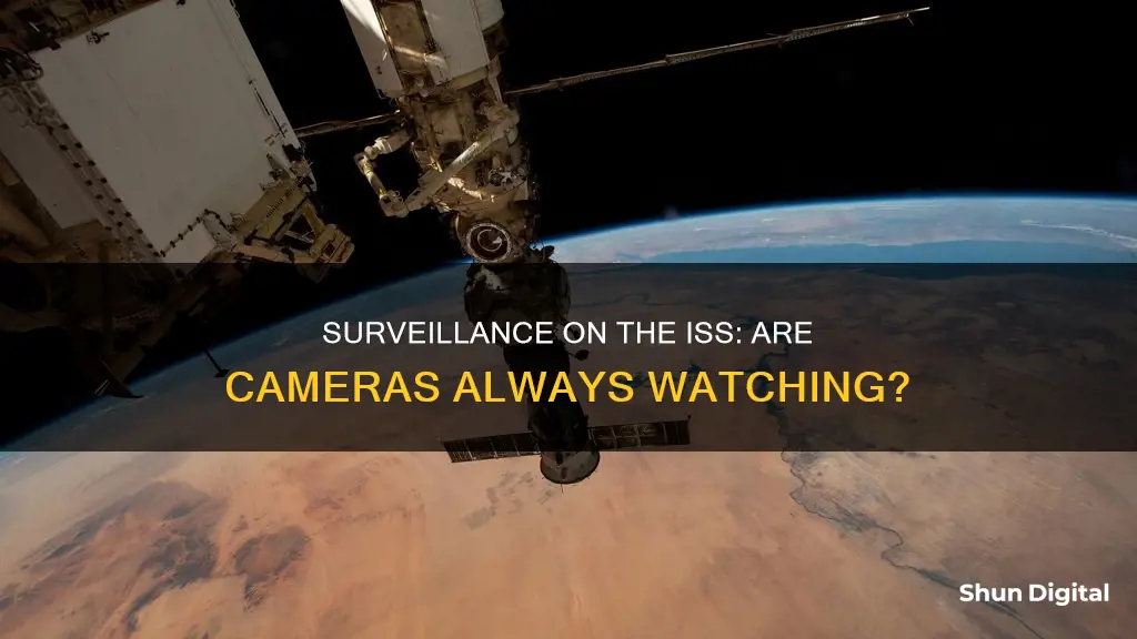 are there surveillance cameras on the iss