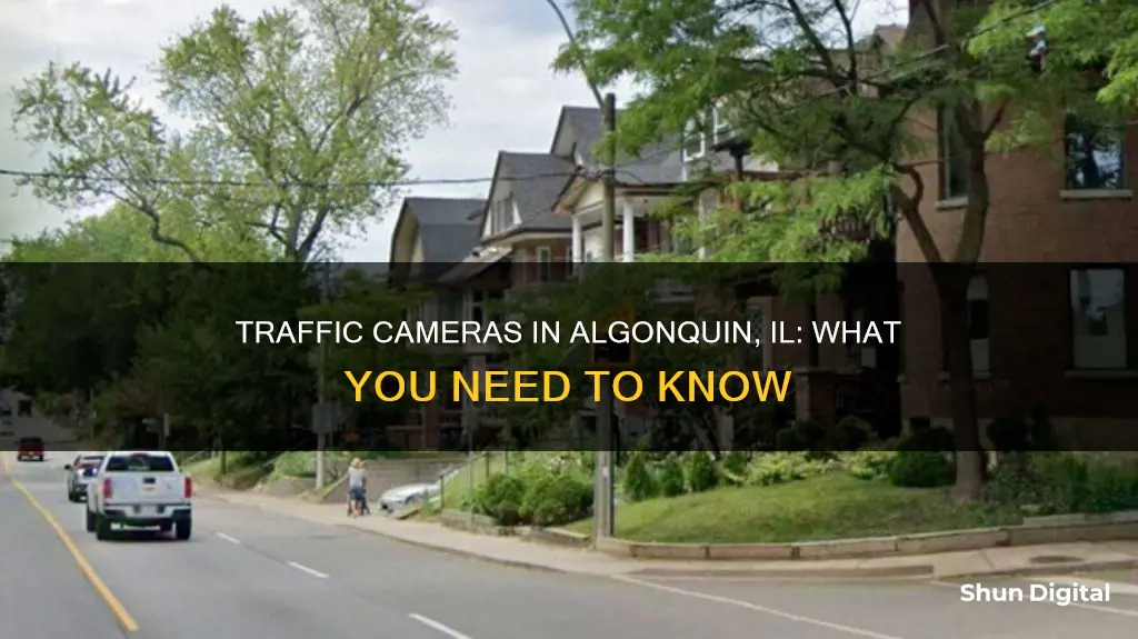 are there traffic cameras in algonquin il