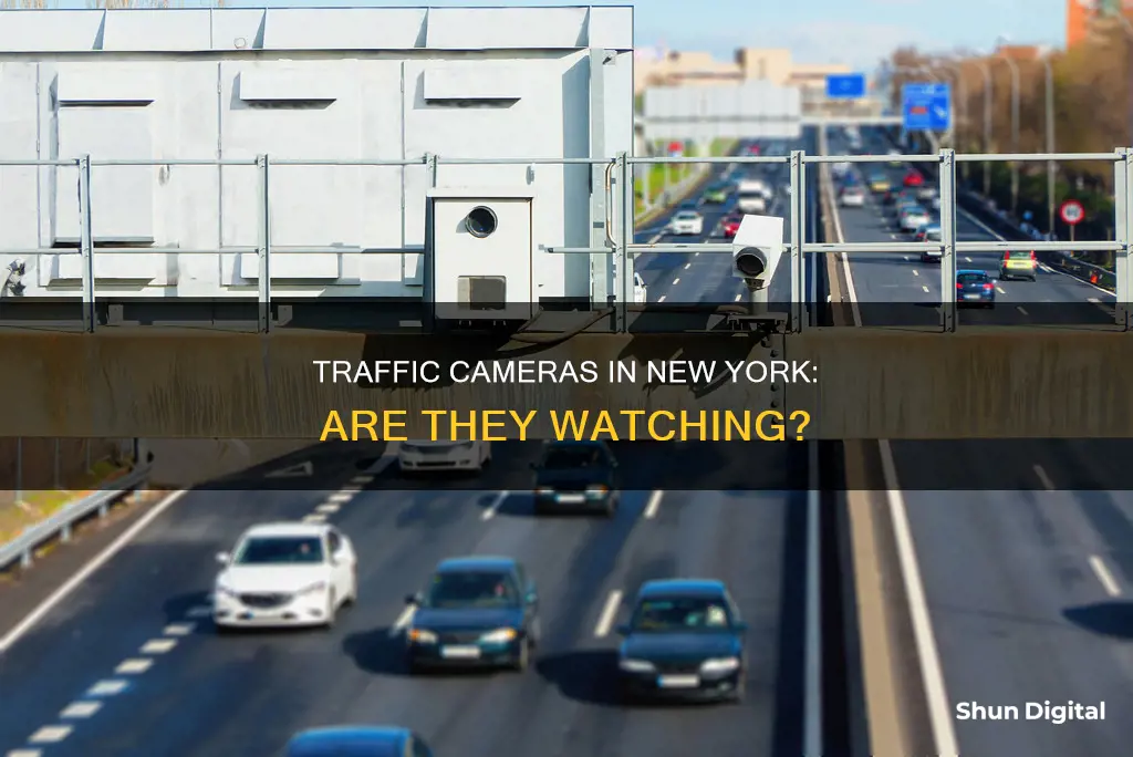 are there traffic cameras in New York city