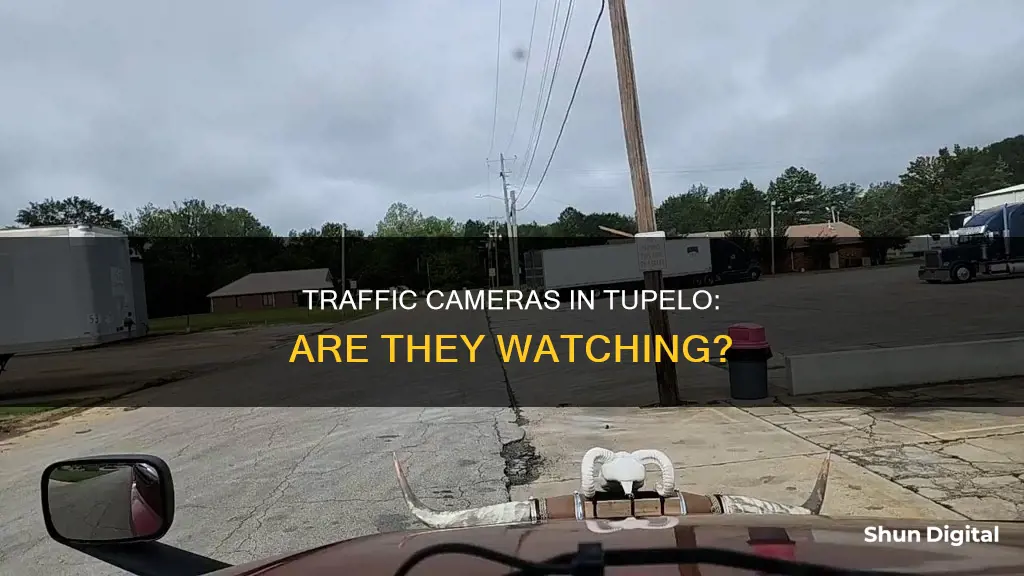 are there traffic cameras in tupelo