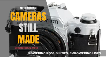 Traditional Cameras: Still Relevant or Obsolete?