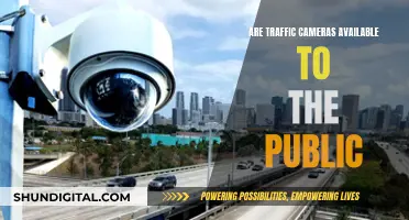 Traffic Cameras: Public Access and Privacy Concerns