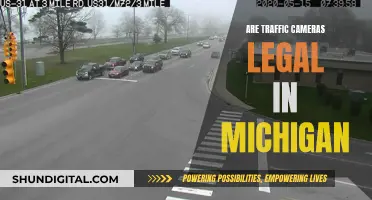 Traffic Cameras in Michigan: Are They Legal?