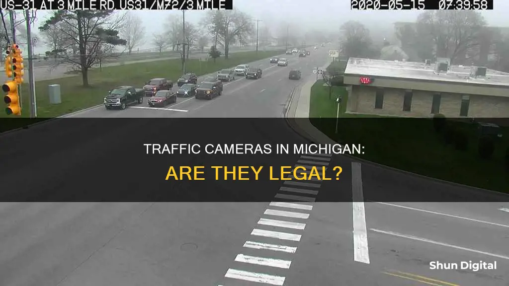 are traffic cameras legal in Michigan