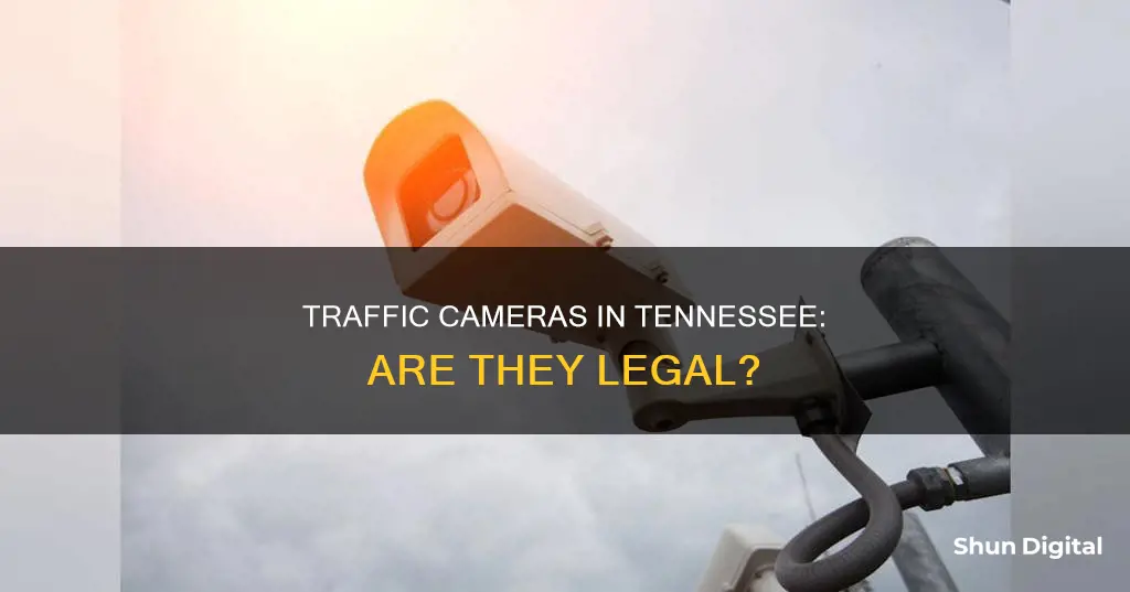 are traffic cameras legal in tn