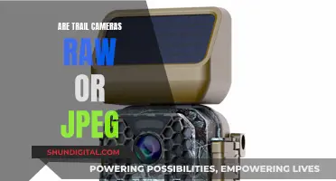 Trail Cameras: Raw vs JPEG Image Formats