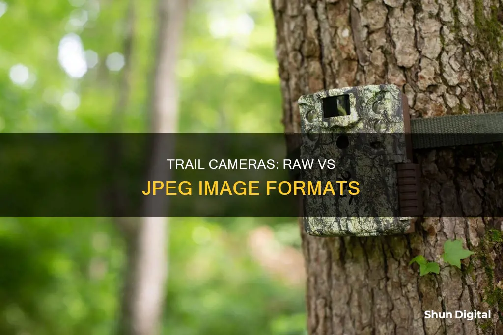 are trail cameras raw or jpeg