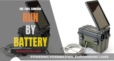 Trail Camera Power: Battery or Solar?