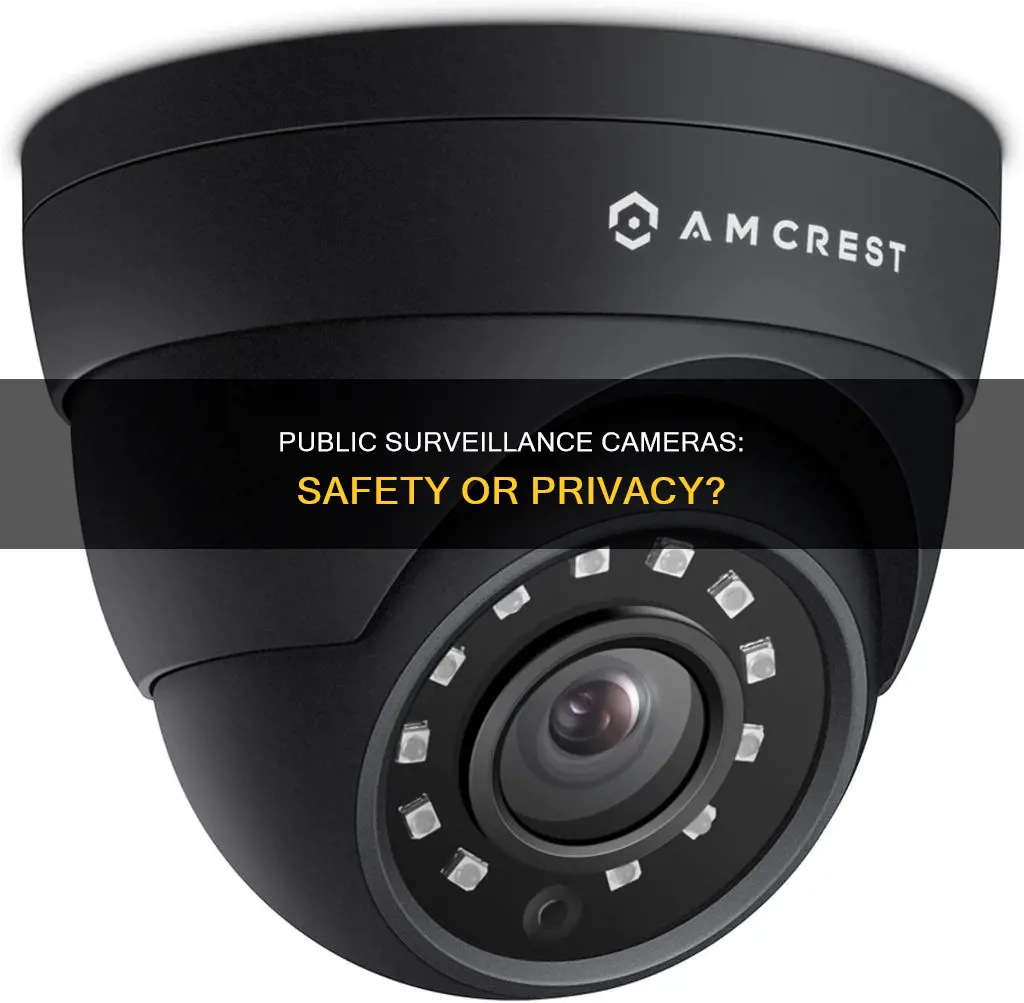 are we safer with public surveillance cameras