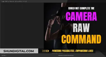 Troubleshooting Camera Raw Command Issues