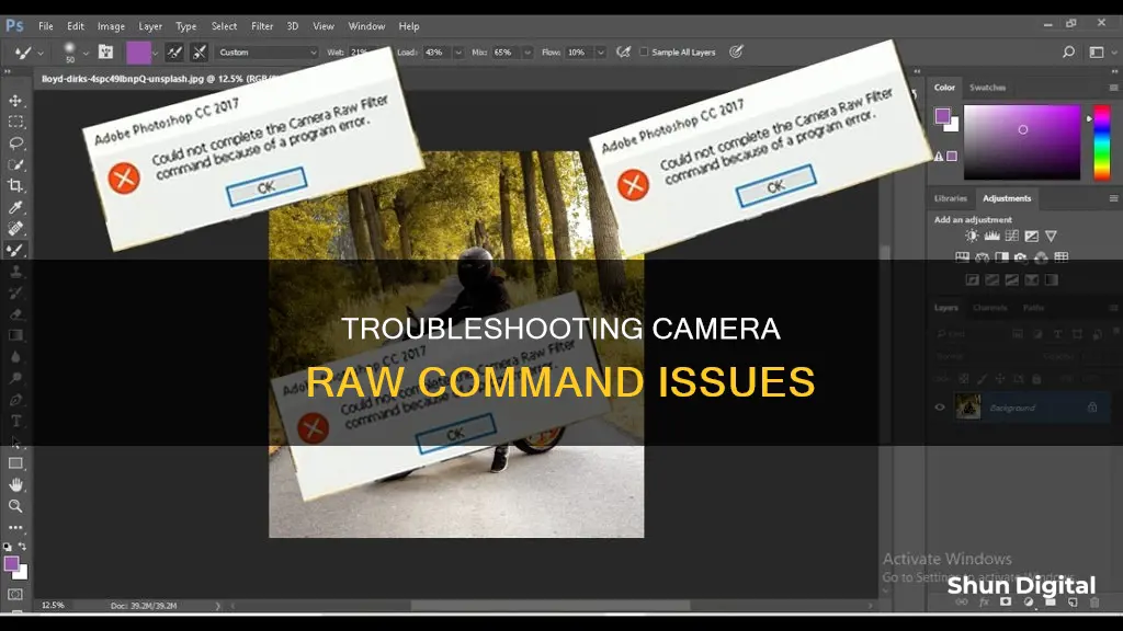 could not complete the camera raw command