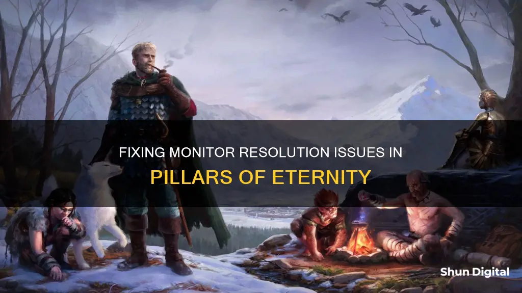 could not switch to requested monitor resolution pillars of eternity