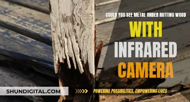 Infrared Cameras: Can They See Metal Under Rotting Wood?