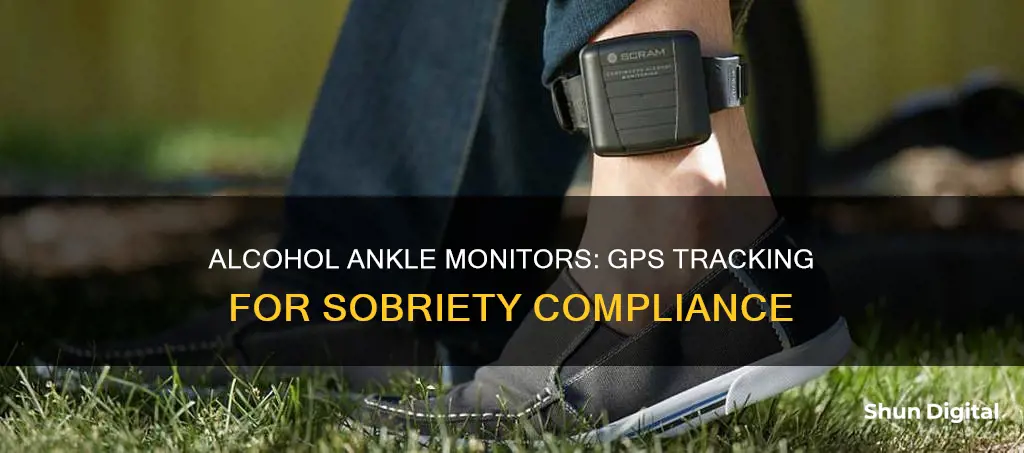 do alcohol ankle monitors have gps