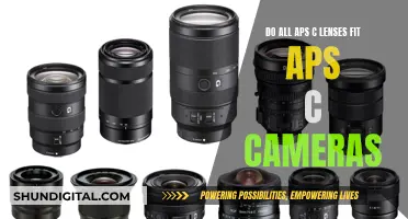 APS-C Lenses: Universal Fit for All Cameras?