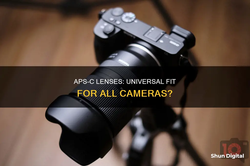 do all aps c lenses fit aps c cameras