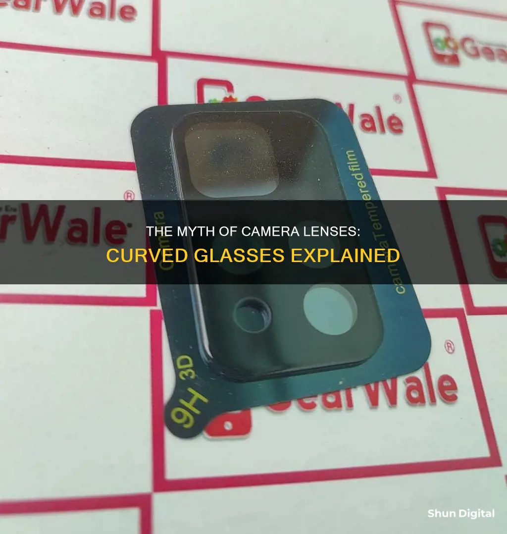 do all camera lenses have curved glasses