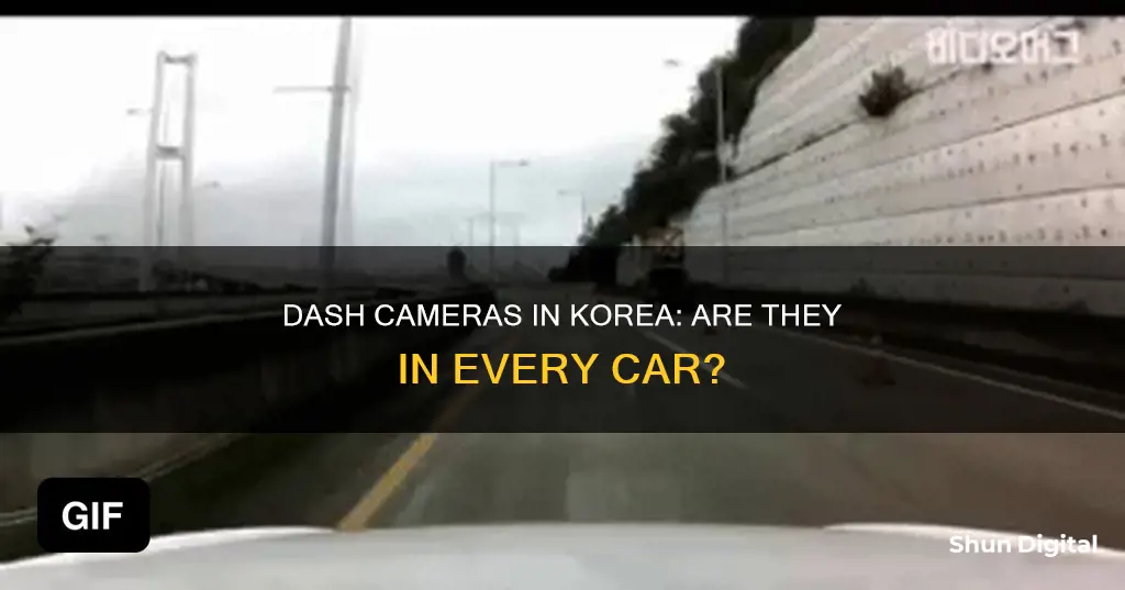 do all cars in korea have dash cameras