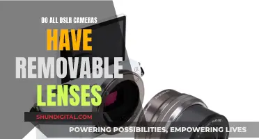 Are DSLR Camera Lenses Interchangeable or Fixed?