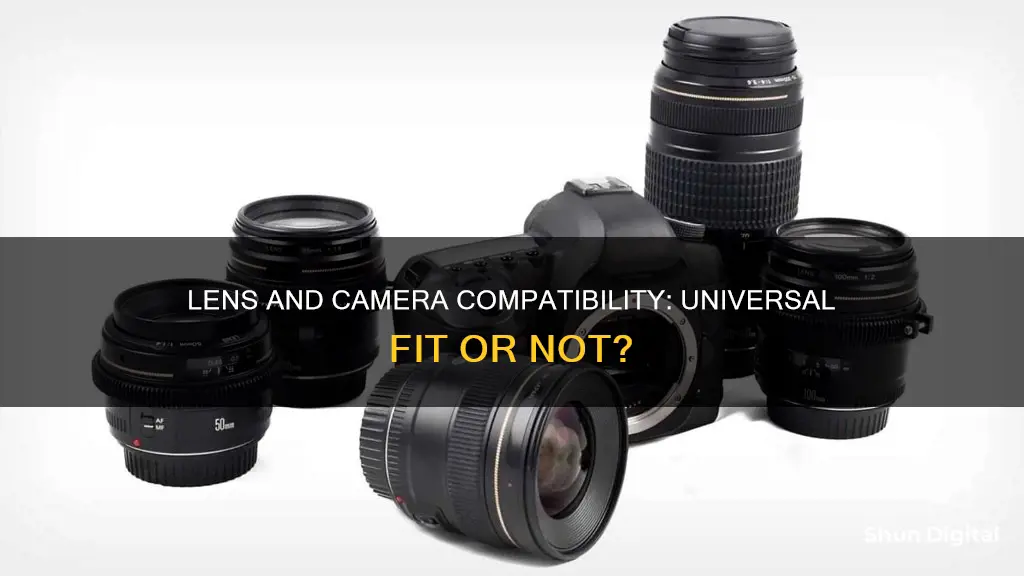 do all lenses fit all cameras