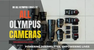 Olympus Lenses: Universal Fit for All Olympus Cameras?