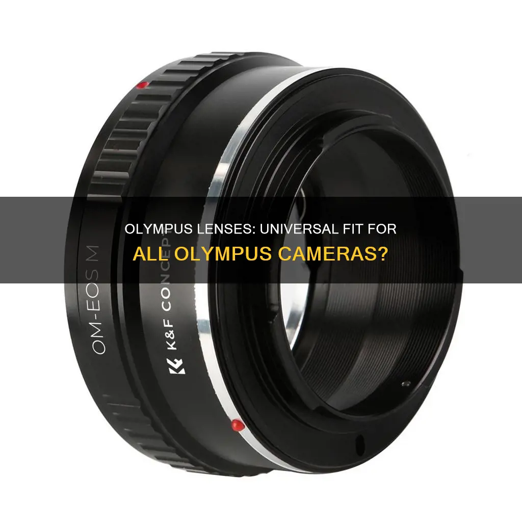 do all olympus lenses fit all olympus cameras